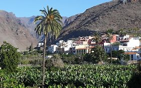 Los Olivos